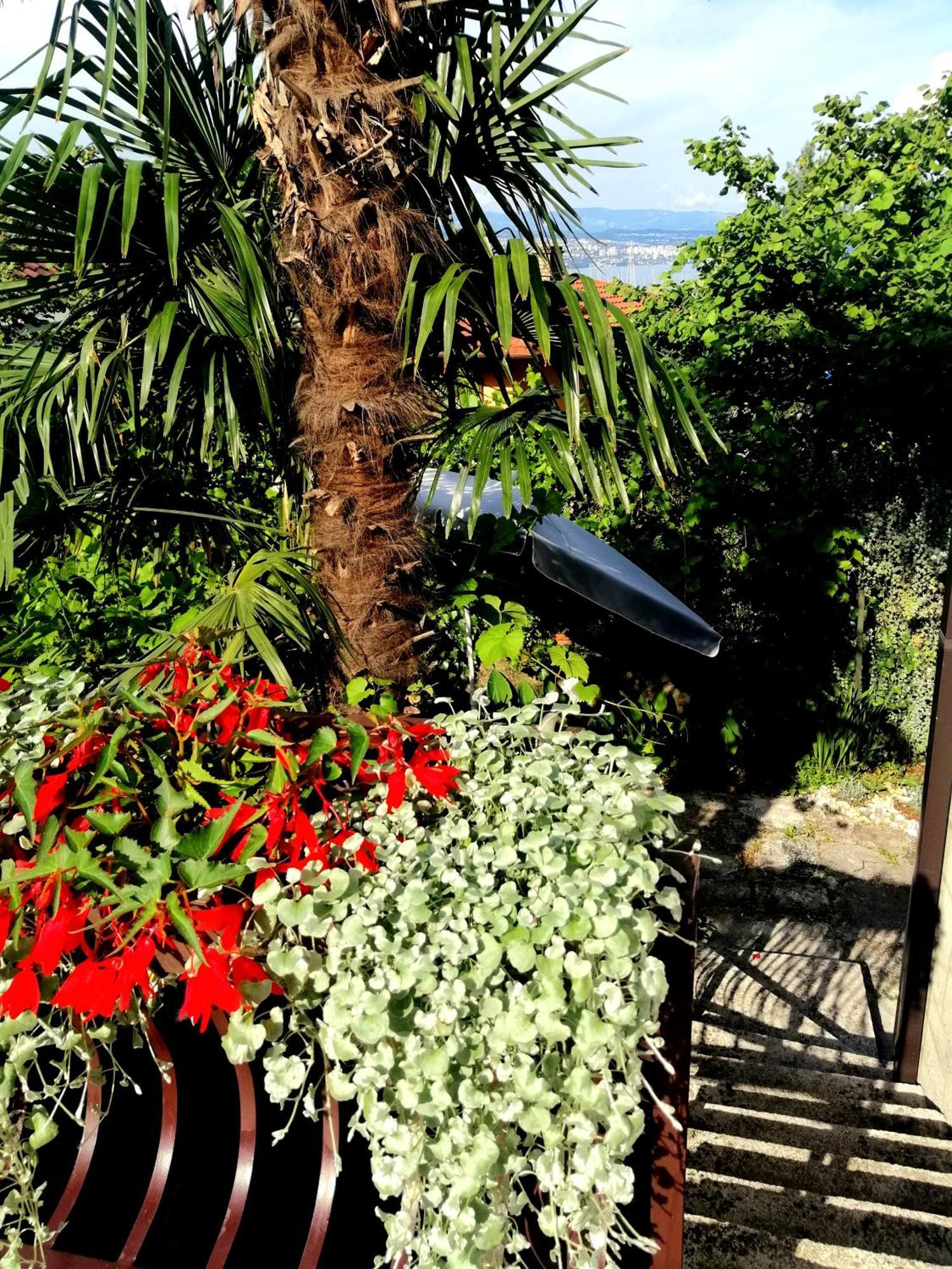 Apartment Sea Garden Ičići 외부 사진